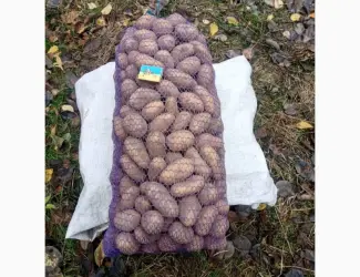 Продам картоплю середнього калібру