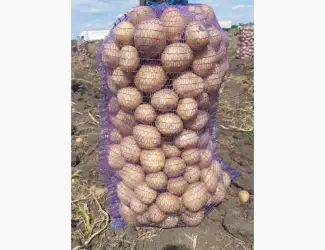 Продам картоплю