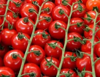 Зображення для оголошення Продам семена Томат черри Восторг Садовода