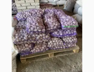 Зображення для оголошення Продам товарний часник оптом 5/10/15/20 тон