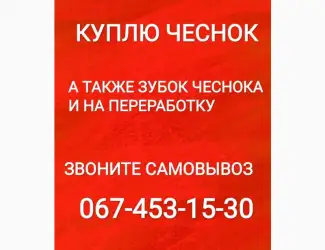 Куплю чеснок дорого
