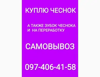 Куплю чеснок крупный средний мелкий