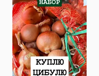 Зображення для оголошення Куплю цибулю ОПТ Україна Борщ Набор