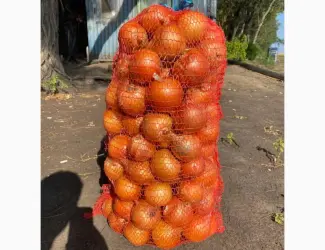 Продам лук репчатый