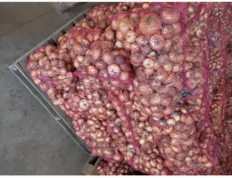 Зображення для оголошення Продам штутгарт