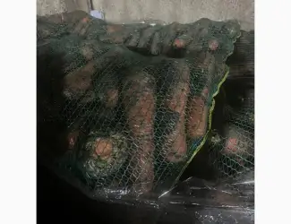 Продам морковь второй сорт