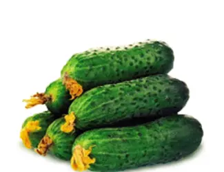 Куплю огурец кориншон