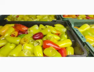 Зображення для оголошення Перець для фаршировки