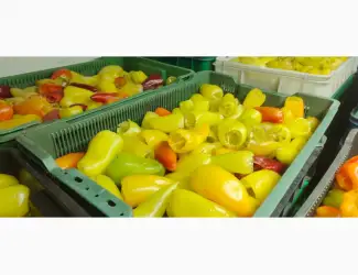 Зображення для оголошення Продам замороженный перець