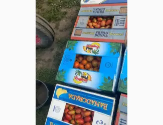Зображення для оголошення Помідор сливка свіжа
