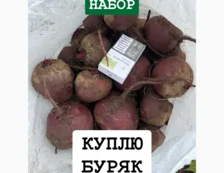Зображення для оголошення Куплю Буряк ОПТ Україна Борщ Набор