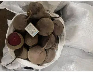 Продам буряк