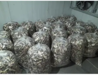 Зображення для оголошення Продам гриб білий сухий