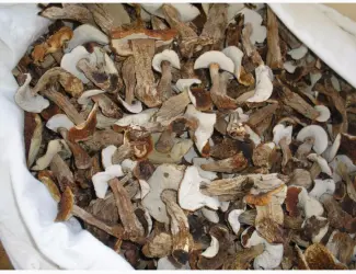 Продам сухие белые грибы