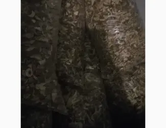 Продам білі гриби сушені