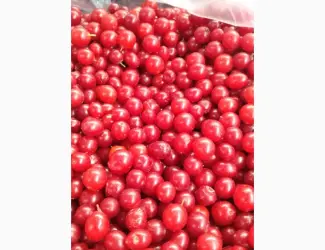 Зображення для оголошення Продам калину заморожену
