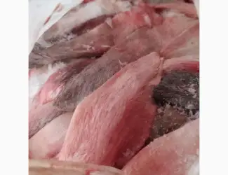 Зображення для оголошення Куплю на постоянной основе уши