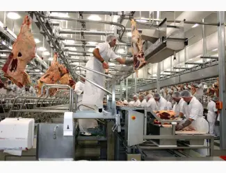 Зображення для оголошення Линия по переработке мяса крупного рогатого скота