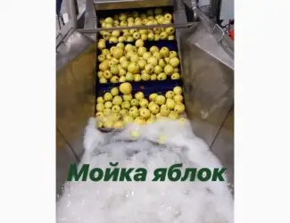 Зображення для оголошення Лінія сортування і переробки ягід і фруктів