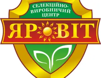 Насіння проса