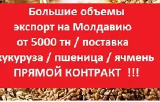 Зображення для оголошення ЭКСПОРТ на Молдову = Пшеница = Ячмень = Кукуруза