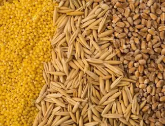 Зображення для оголошення Куплю відходи кукурудзи