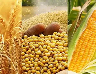 Зображення для оголошення Закуповуємо відходи кукурудзи