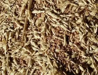 Зображення для оголошення Куплю зерноотходы зерновые