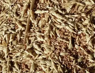 Зображення для оголошення Куплю отходы кукурузы
