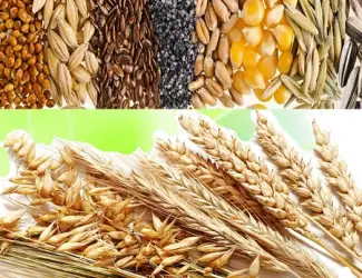 Зображення для оголошення Закупаем отходы кукурузы