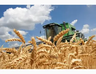 Зображення для оголошення Постійно купуємо зерновідходи