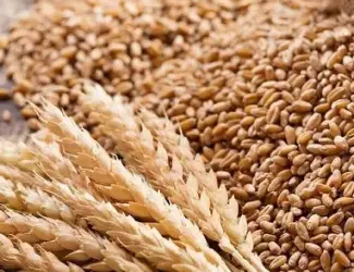 Зображення для оголошення Закуповуємо некондицію