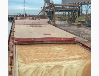 Зображення для оголошення Принимаем Ячмень Пшеницу Кировоград 2025новий урожай