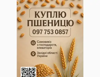 Зображення для оголошення Куплю пшеницю