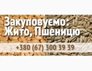 Зображення для оголошення Купуємо Пшеницю