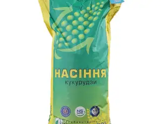 Зображення для оголошення Насіння кукурудзи 271 мв