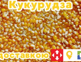 Продам кукурудзу
