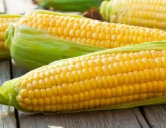 Куплю проблемну кукурудзу