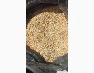 Зображення для оголошення Підприємство купує побічний продукт обо зерновідходи кукурудзи