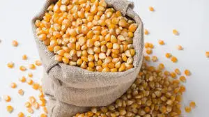 Куплю кукурузу