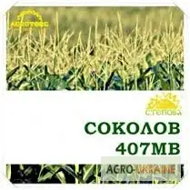 Зображення для оголошення Продам семена кукурузы Соколов 407 МВ