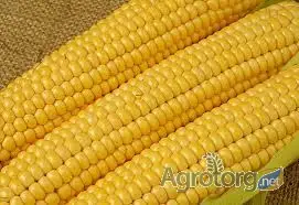 Зображення для оголошення Кукуруза дробленая