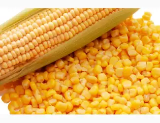 Продам зерна кукурузы. Влага 13