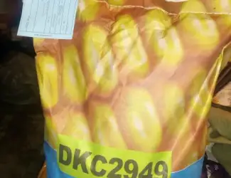 Семена Monsanto (Монсанто) кукуруза Dekalb. ОРИГИНАЛ