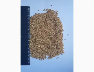 Просо продажа на экспорт