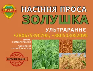 Насіння просо