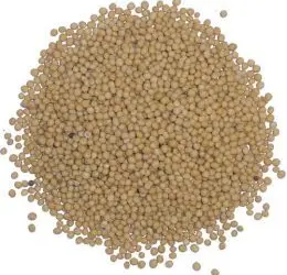 Зображення для оголошення Куплю горчицу белую