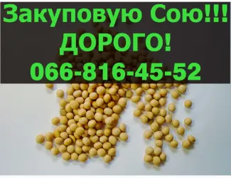 Зображення для оголошення На постійній основі закуповую СОЮ в будь якій кількості