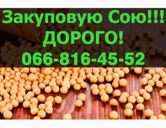 Зображення для оголошення Купуємо СОЮ на конкурентних умовах