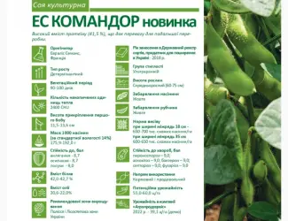 Зображення для оголошення Пропонуємо насіння сої ЕС Командор (СН-1) Без ГМО
